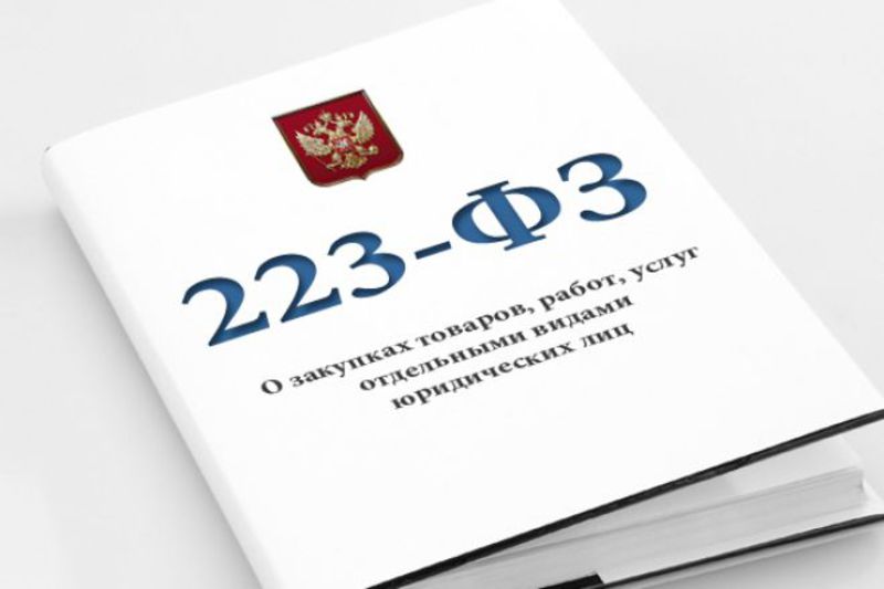 Организация закупок товаров, работ, услуг отдельными видами юридических лиц